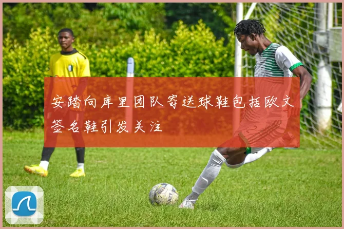 安踏向库里团队寄送球鞋包括欧文签名鞋引发关注
