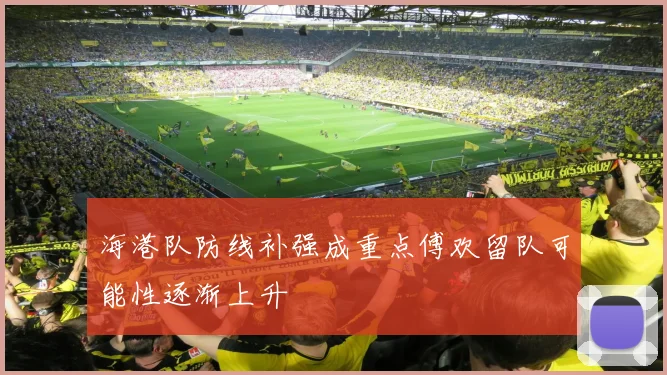 海港队防线补强成重点傅欢留队可能性逐渐上升