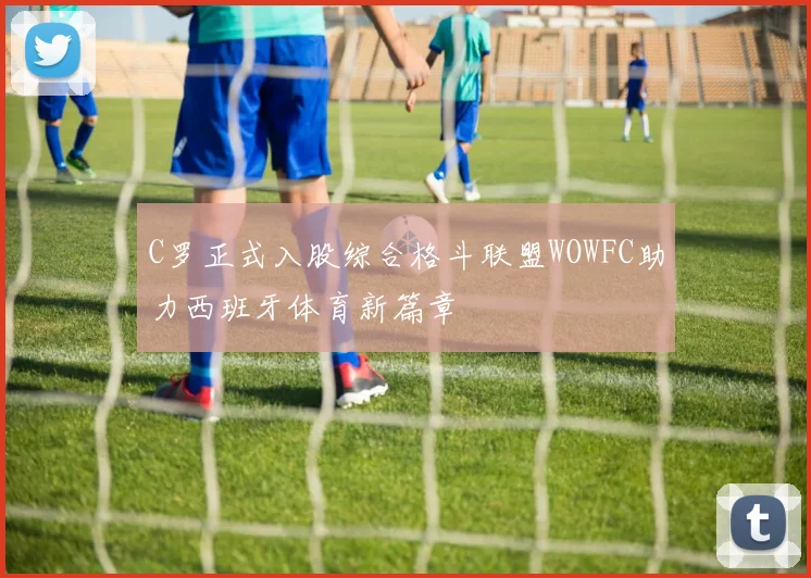 C罗正式入股综合格斗联盟WOWFC助力西班牙体育新篇章