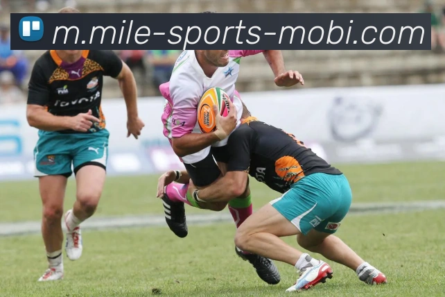 米乐体育品牌故事