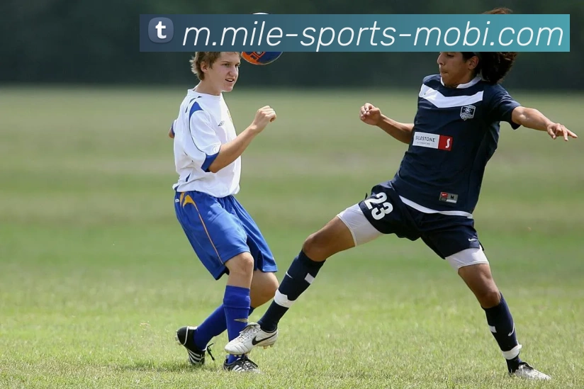 米乐体育服务体系